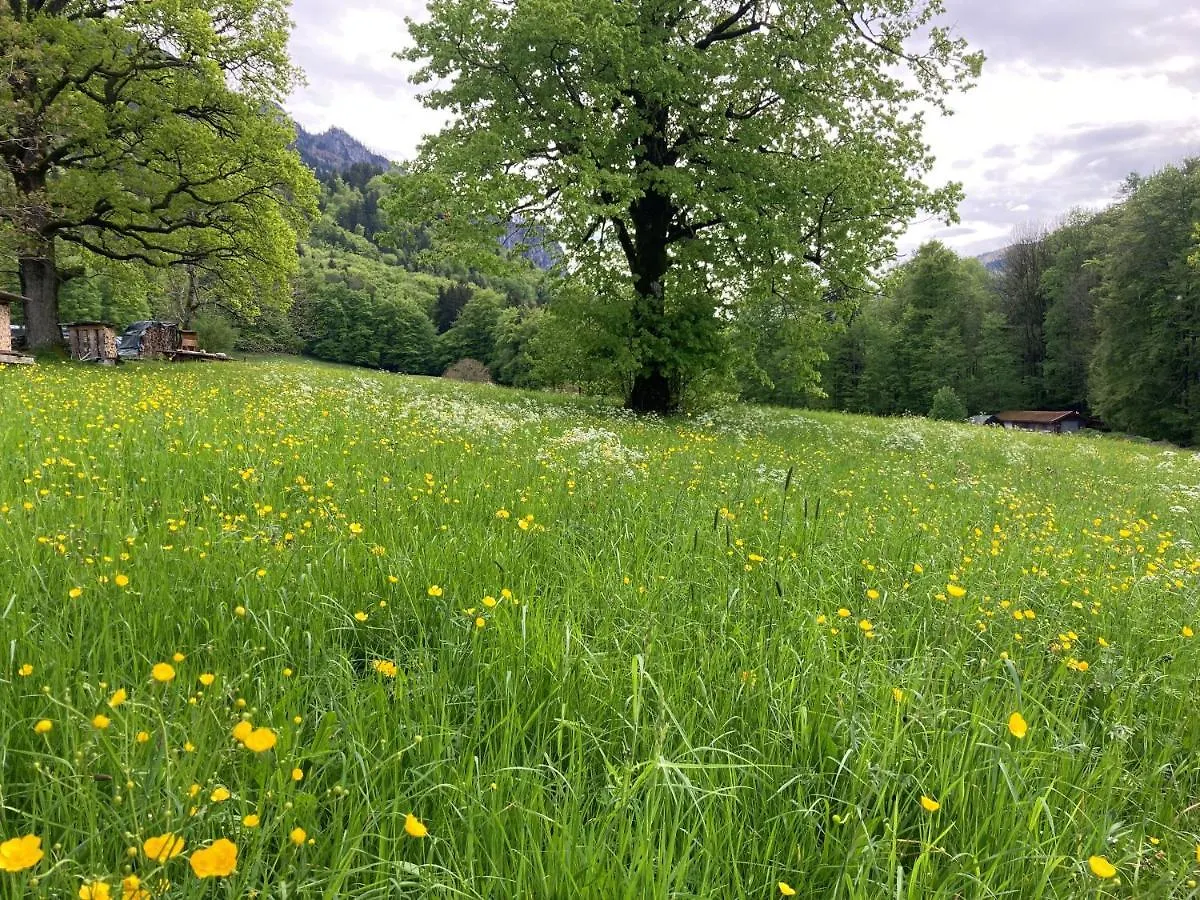 Ciao-Aschau Haus Zur Burg Ap112 Burgblick Apartment Aschau im Chiemgau